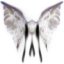 Winged-Dove's avatar