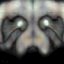 teresa56's avatar