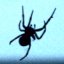 Igamble's avatar - spider