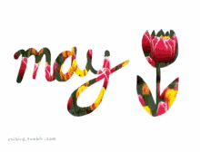 May Flower GIF - May Flower Rose ...